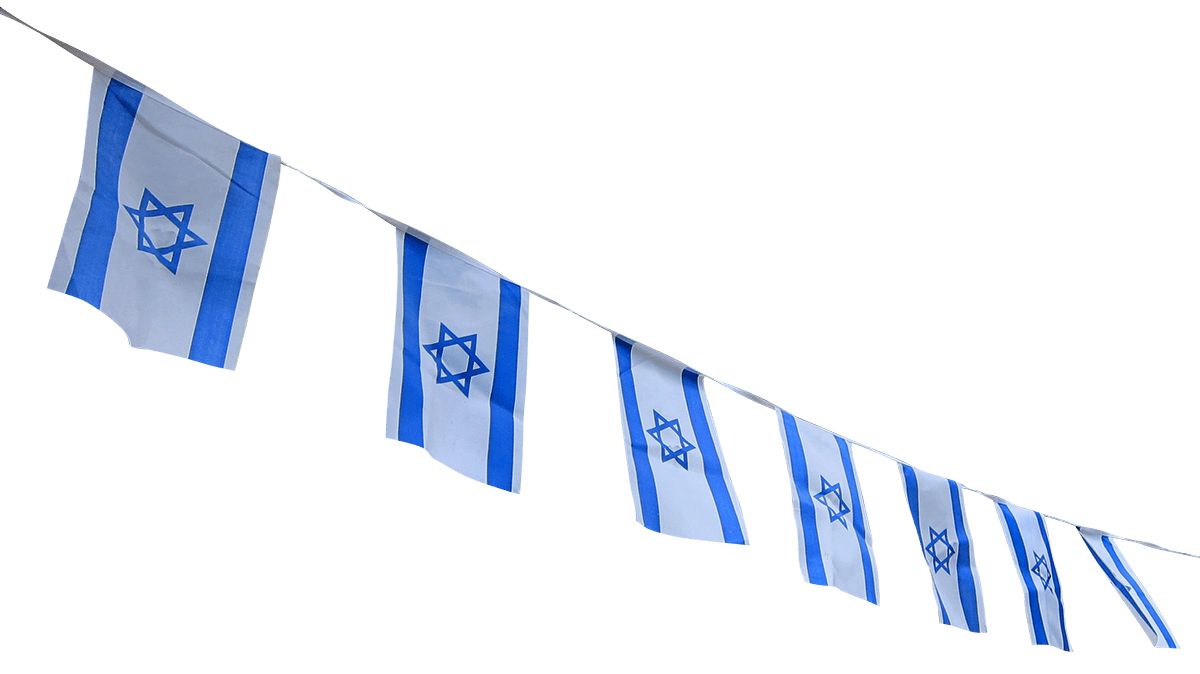 Flag of Israel PNG    图片编号:14717