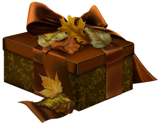 Gift box PNG    图片编号:100121