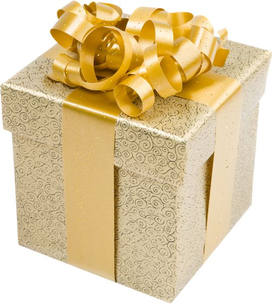 Gift box PNG    图片编号:100130