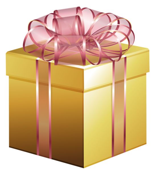 Gift box PNG    图片编号:100261