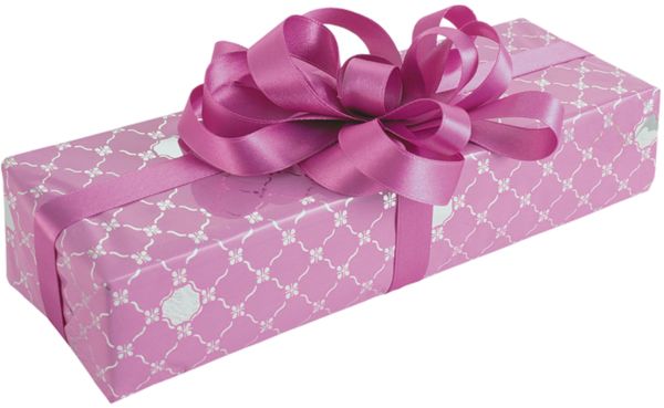 Gift box PNG    图片编号:100301