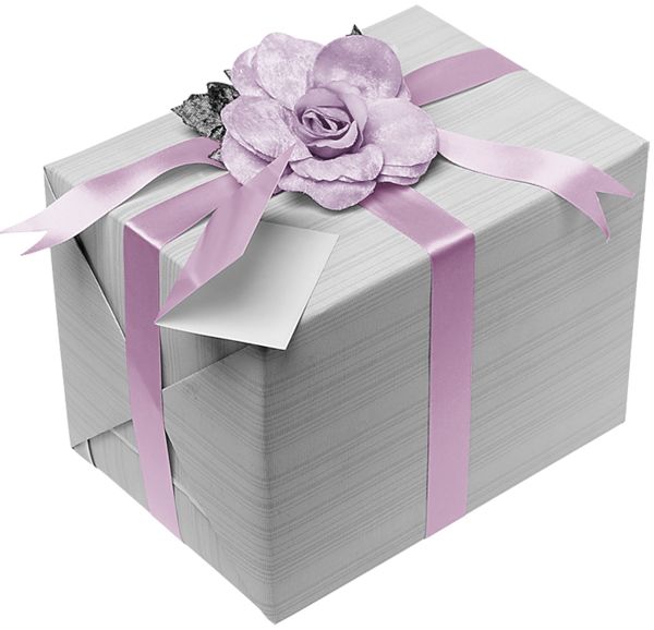 Gift box PNG    图片编号:100363