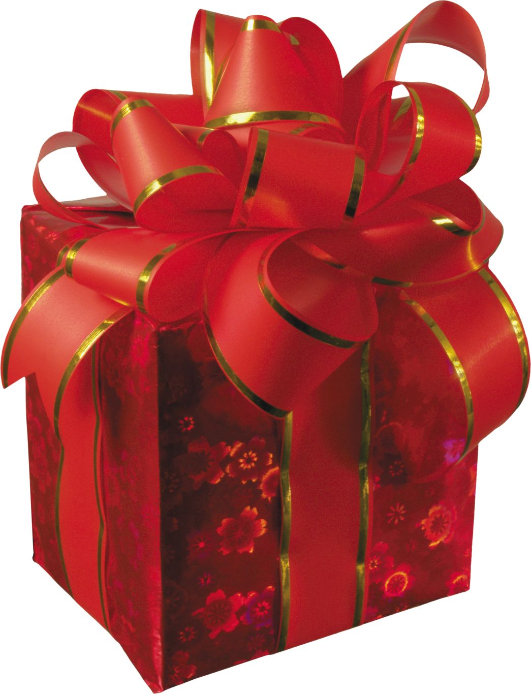 Gift box PNG    图片编号:100424