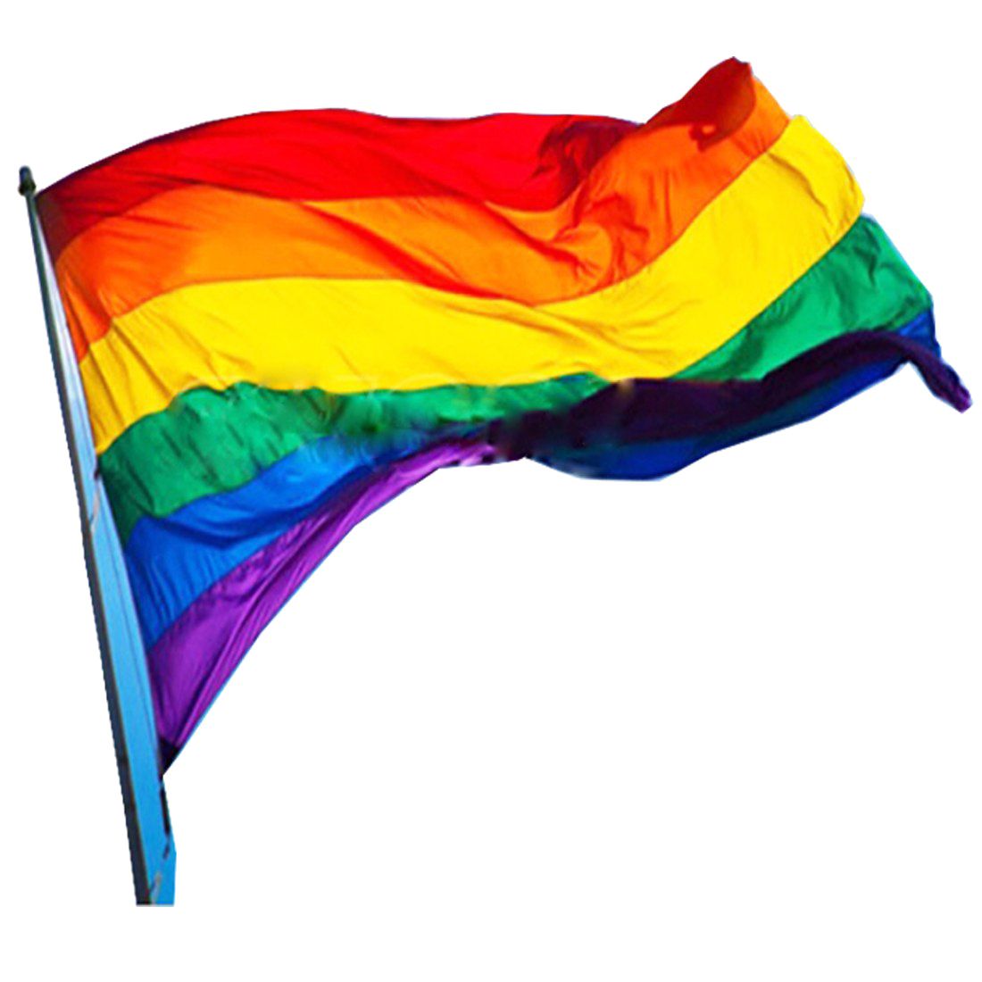 LGBT flag PNG    图片编号:69450