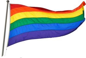 LGBT flag PNG    图片编号:69451