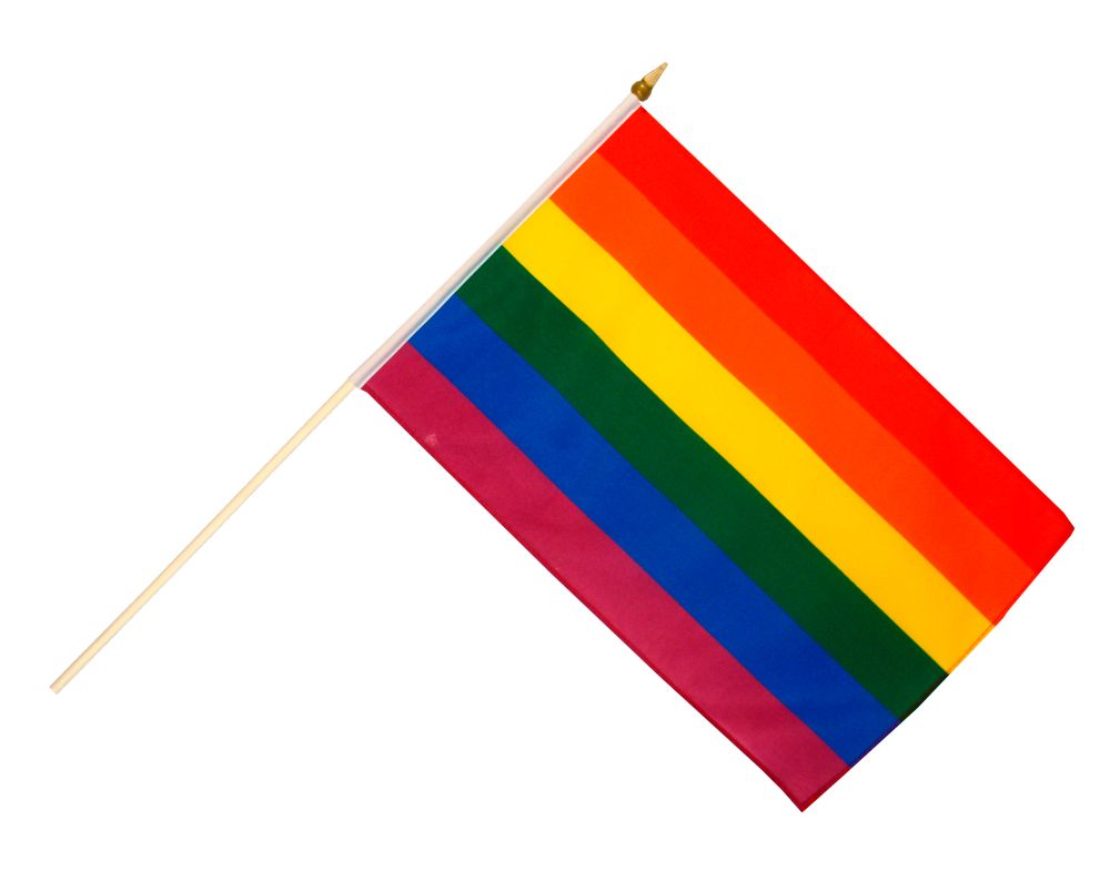 LGBT flag PNG    图片编号:69468