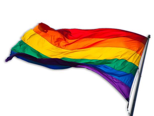 LGBT flag PNG    图片编号:69470
