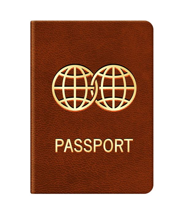 Passport PNG    图片编号:100005
