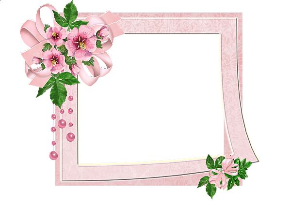 Picture, photo frame PNG    图片编号:90911