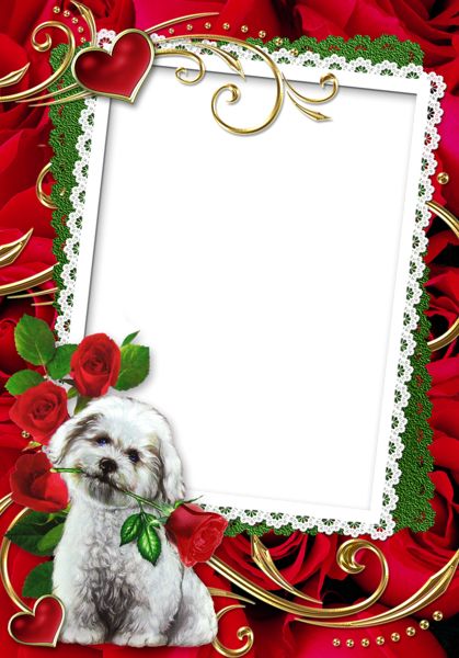 Picture, photo frame PNG    图片编号:90918