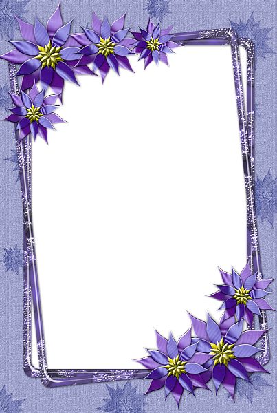 Picture, photo frame PNG    图片编号:90919