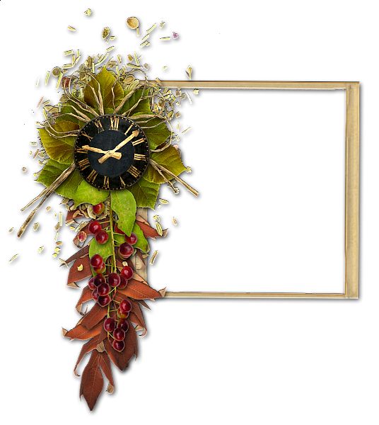 Picture, photo frame PNG    图片编号:90922