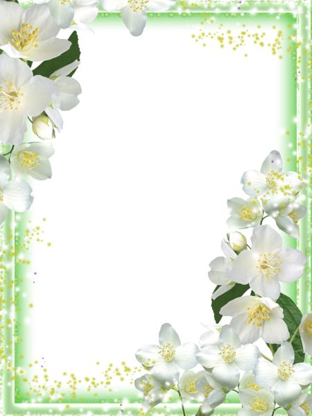 Picture, photo frame PNG    图片编号:90950