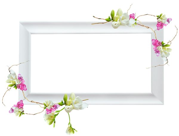 Picture, photo frame PNG    图片编号:90965