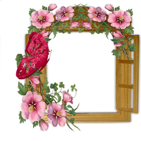 Picture, photo frame PNG    图片编号:90966