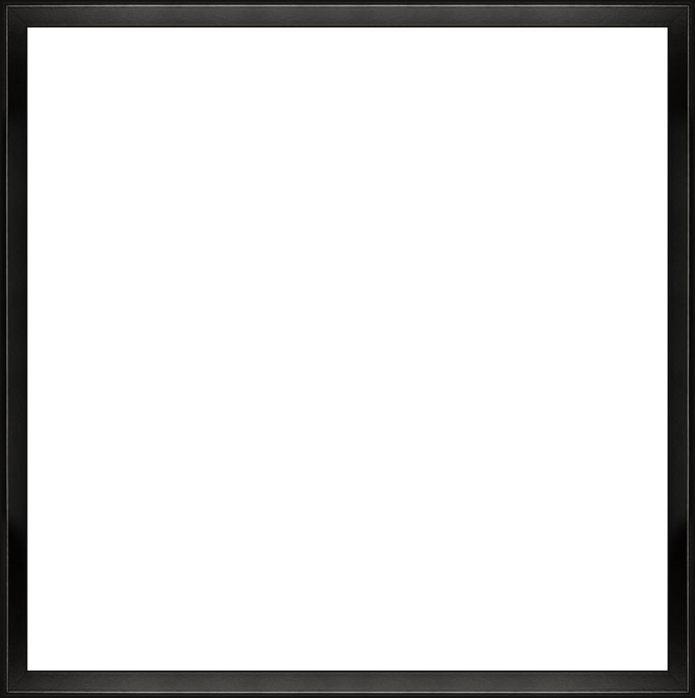 Picture, photo frame PNG    图片编号:90977