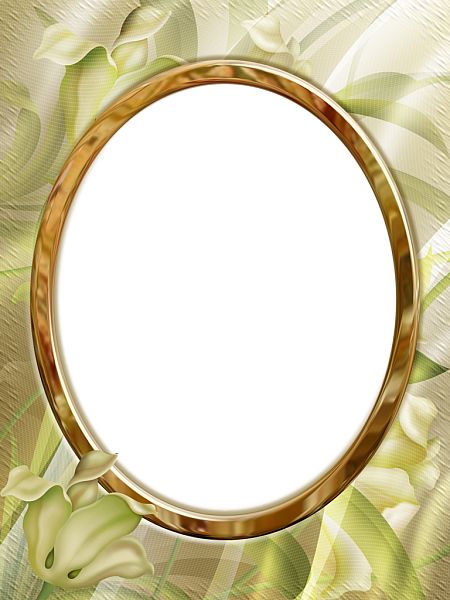 Picture, photo frame PNG    图片编号:90859