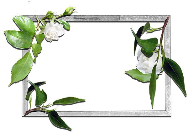 Picture, photo frame PNG    图片编号:90863