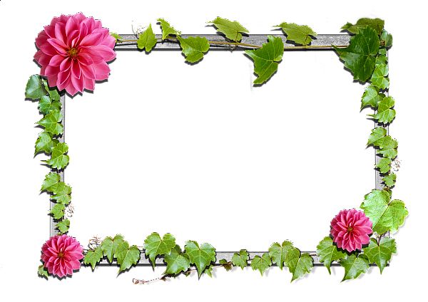 Picture, photo frame PNG    图片编号:90864