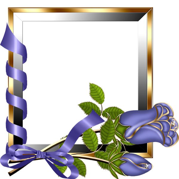 Picture, photo frame PNG    图片编号:90869