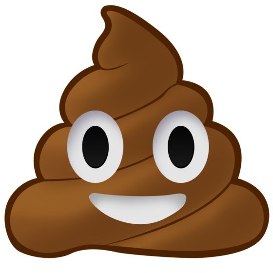 Poop icon PNG    图片编号:57935