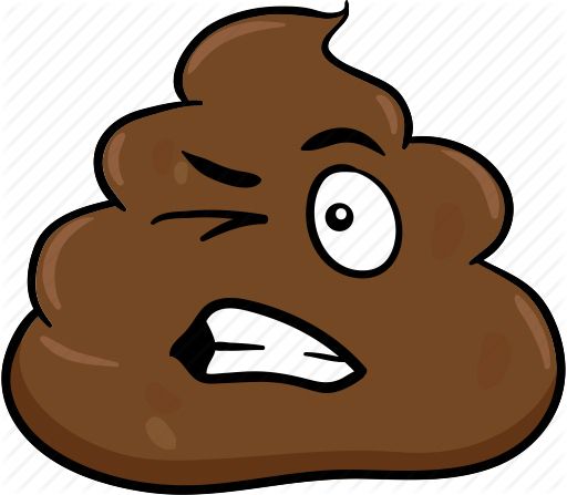 Poop icon PNG    图片编号:57941