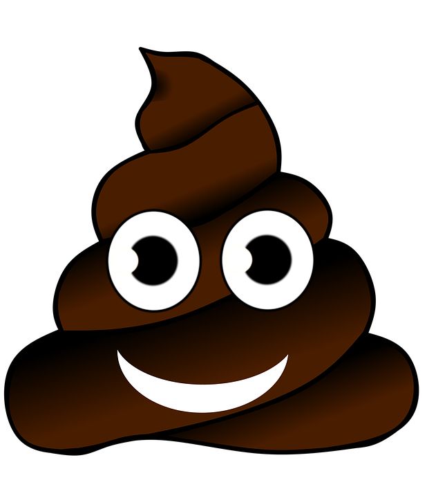 Poop icon PNG    图片编号:57948