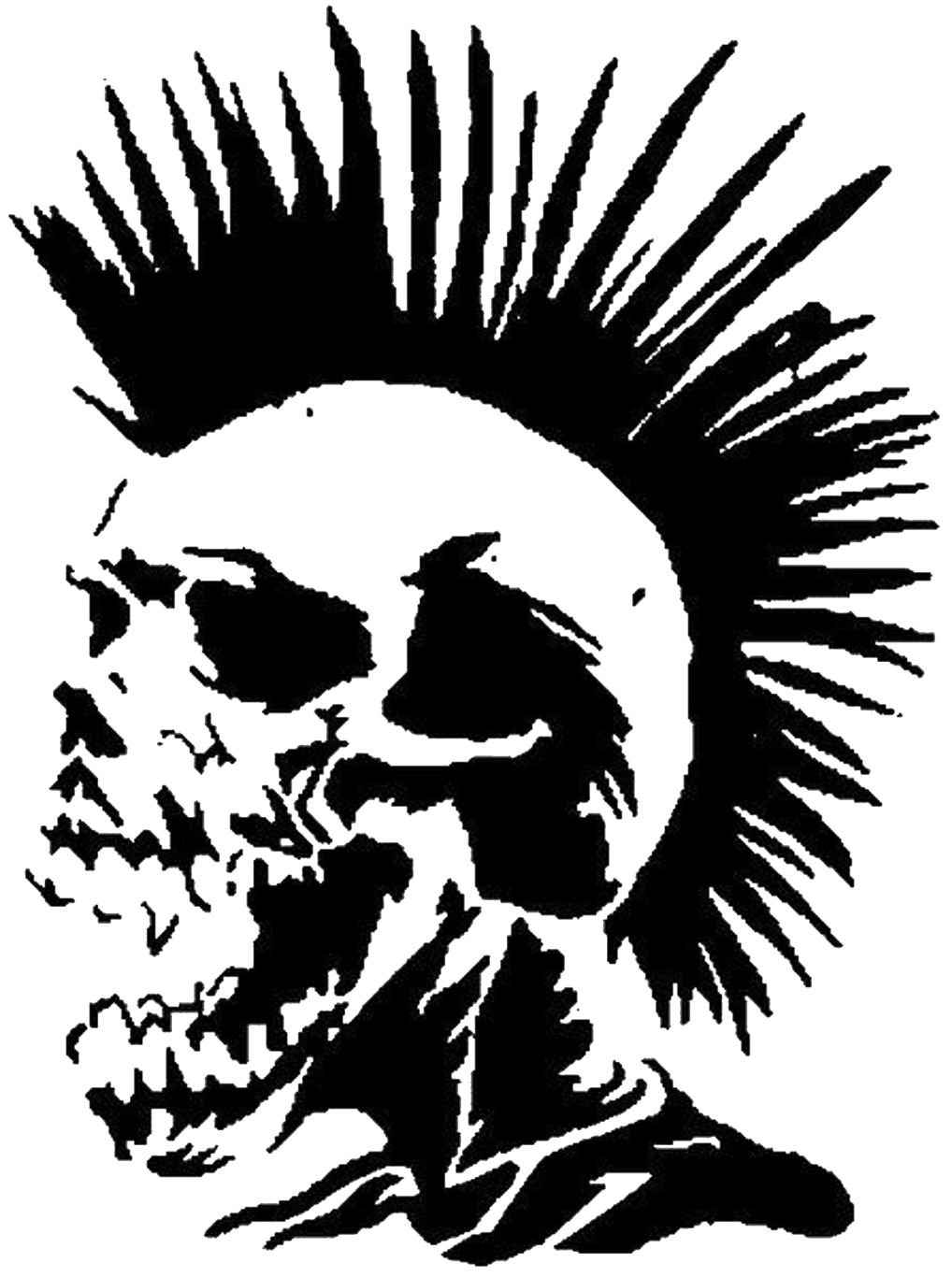Punk hair skull PNG    图片编号:83554