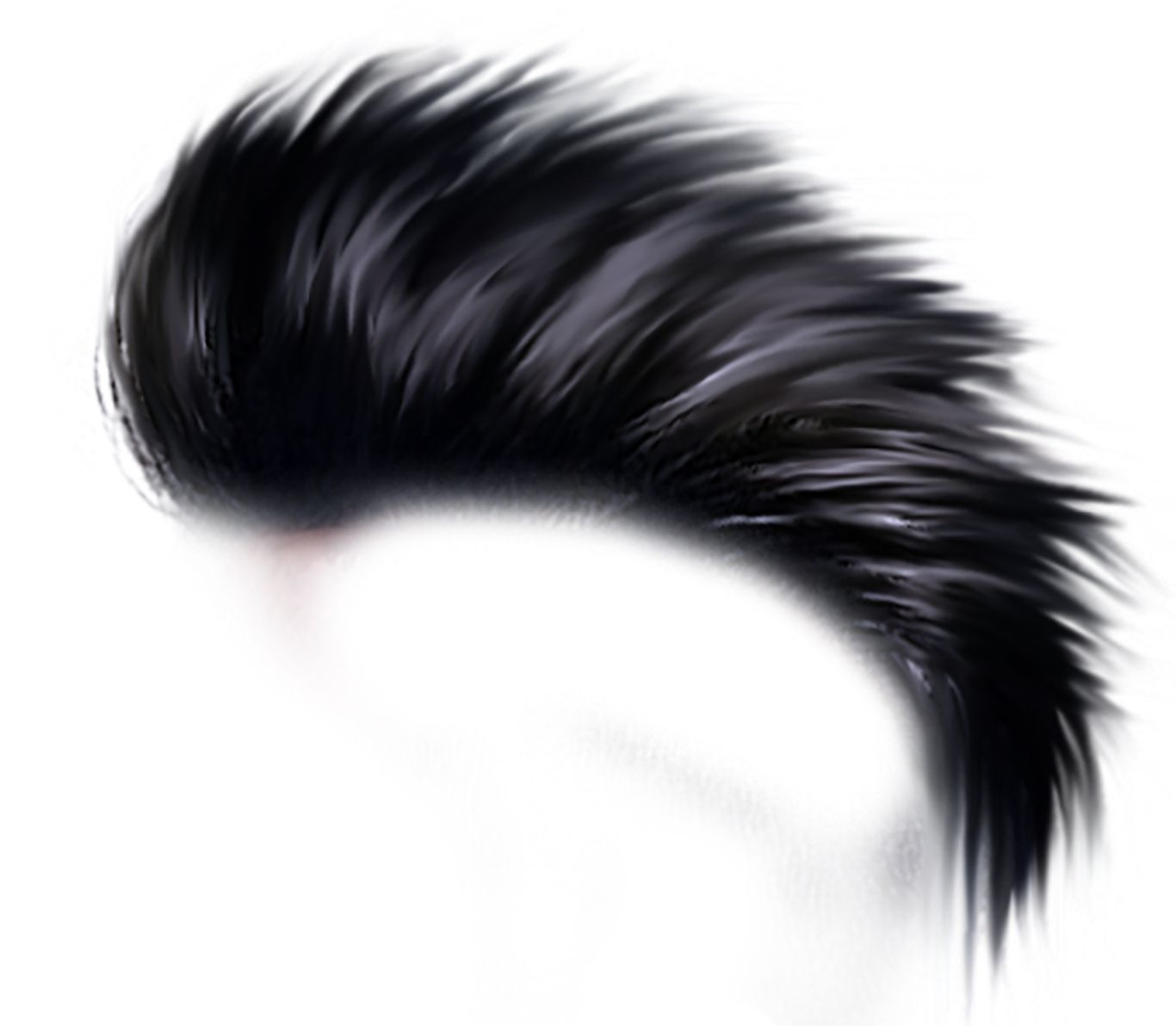 Punk hair PNG    图片编号:83564