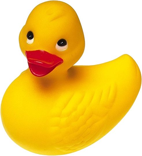 Rubber duck PNG    图片编号:45697