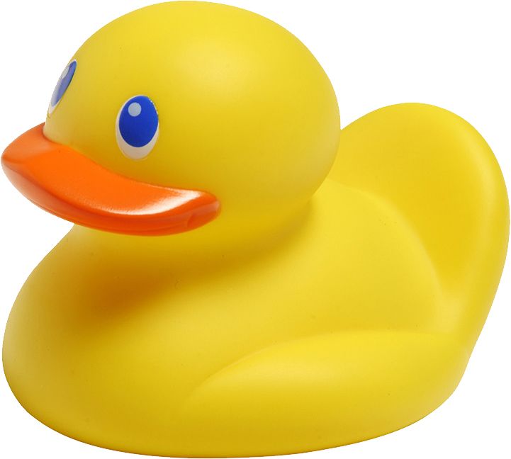 Rubber duck PNG    图片编号:45706