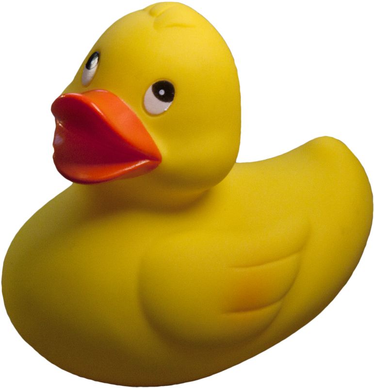 Rubber duck PNG    图片编号:45712