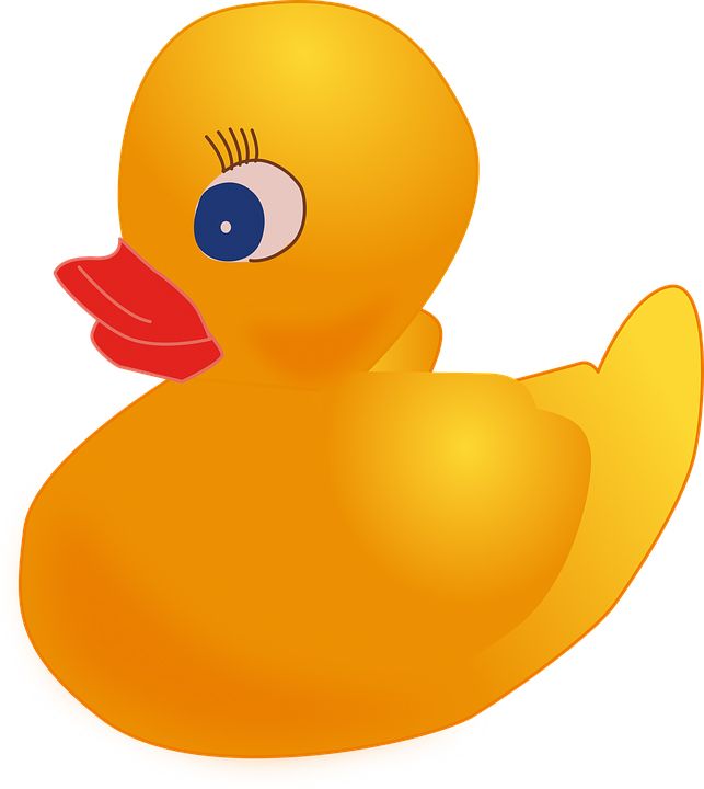 Rubber duck PNG    图片编号:45713