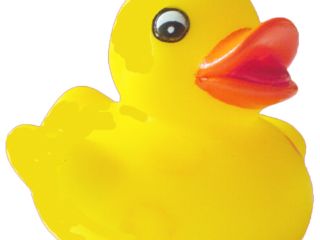 Rubber duck PNG    图片编号:45722
