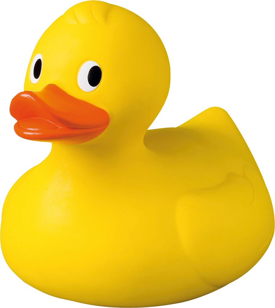 Rubber duck PNG    图片编号:45700