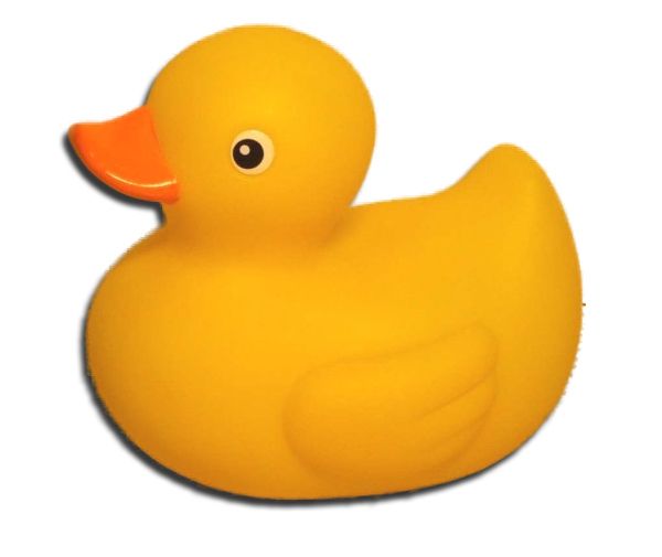 Rubber duck PNG    图片编号:45742