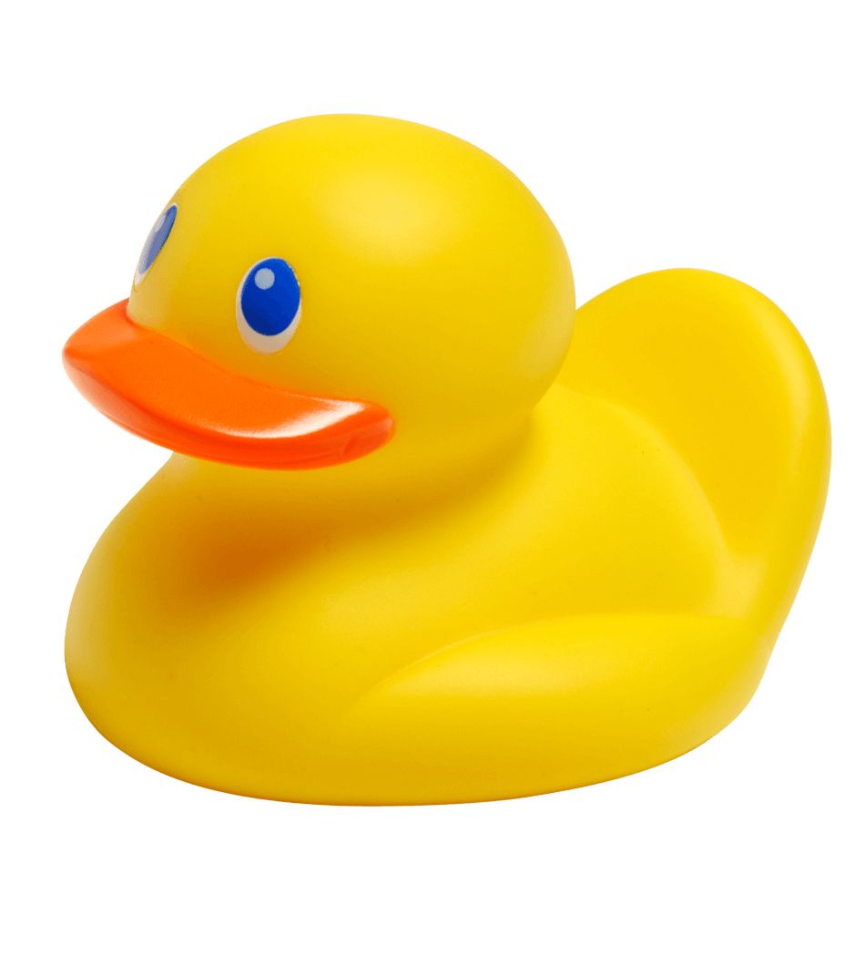 Rubber duck PNG    图片编号:45749