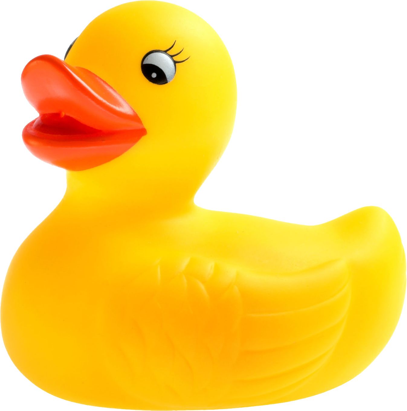 Rubber duck PNG    图片编号:45702