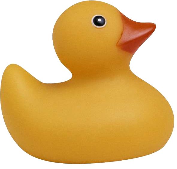 Rubber duck PNG    图片编号:45704