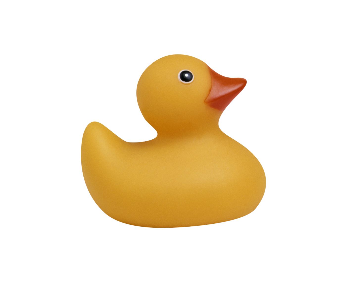 Rubber duck PNG    图片编号:99899