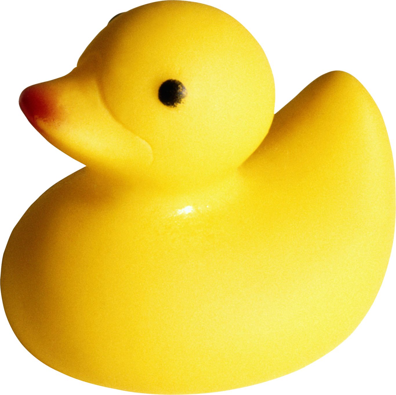 Rubber duck PNG    图片编号:99902