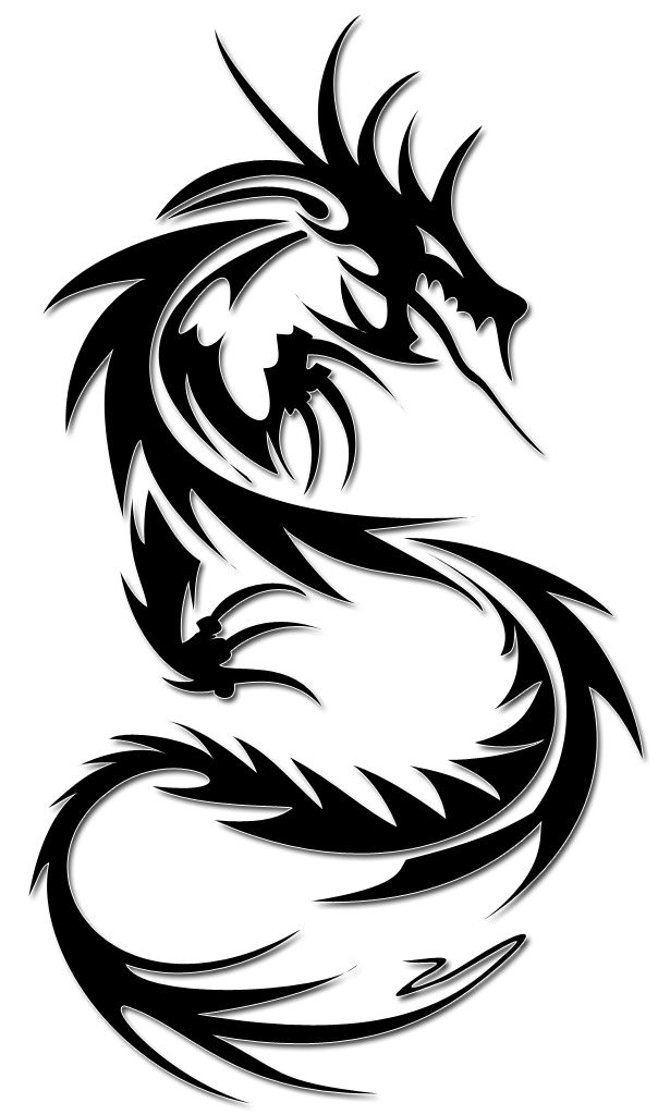 Tattoo dragon PNG image    图片编号:5469