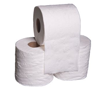 Toilet paper PNG    图片编号:18285