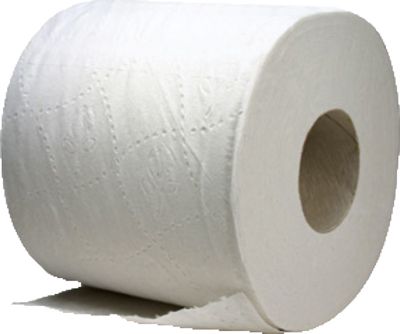 Toilet paper PNG    图片编号:18310