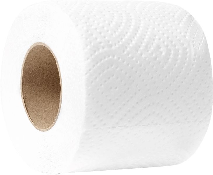 Toilet paper PNG    图片编号:99623