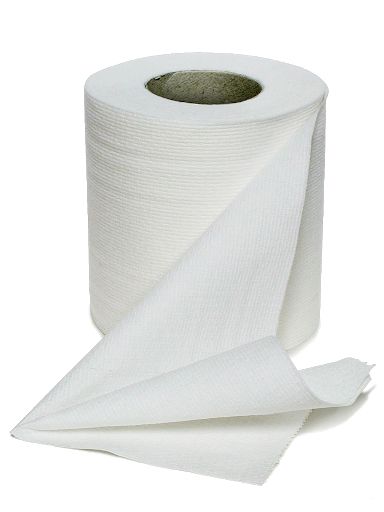 Toilet paper PNG    图片编号:99645