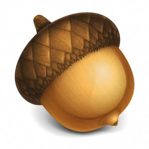 Acorn PNG image, free, acorns     图片编号:742