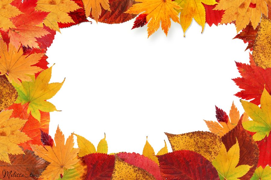 autumn leaves frame PNG leaf     图片编号:3606