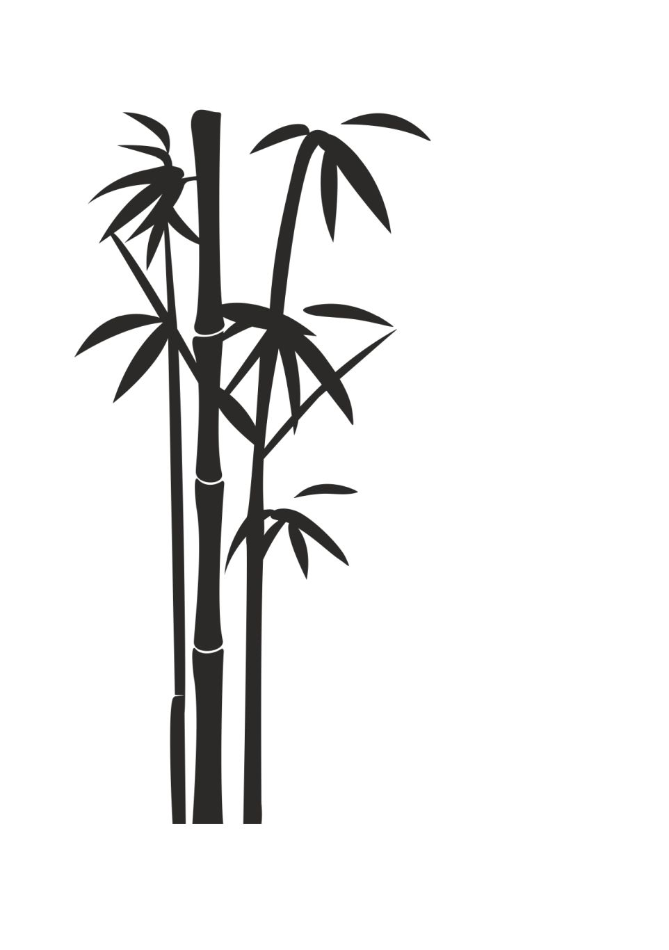 Bamboo PNG     图片编号:63752