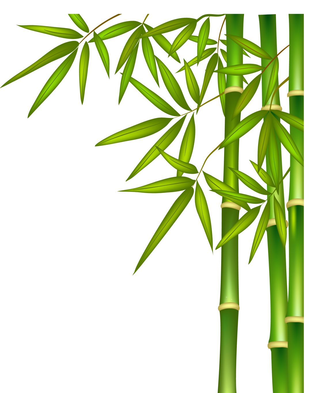 Bamboo PNG     图片编号:63761